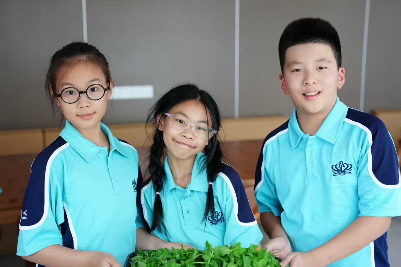 我们的柠檬薄荷茶收获派对 - garden